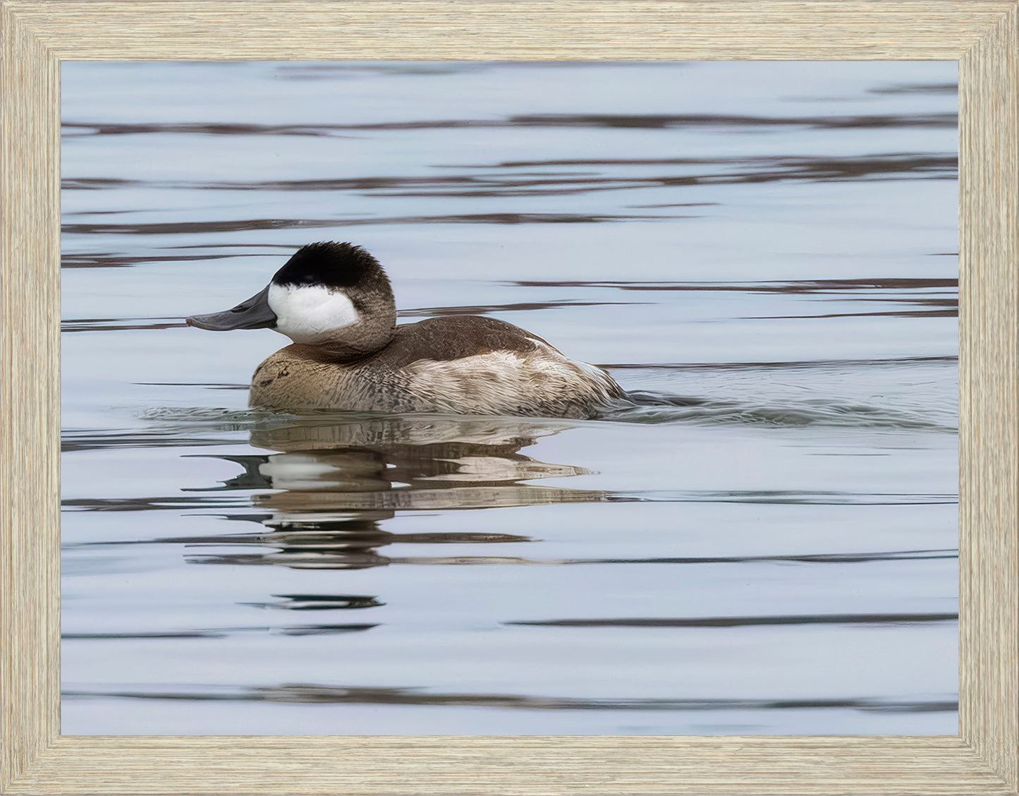 Solo Ruddy Drake #1