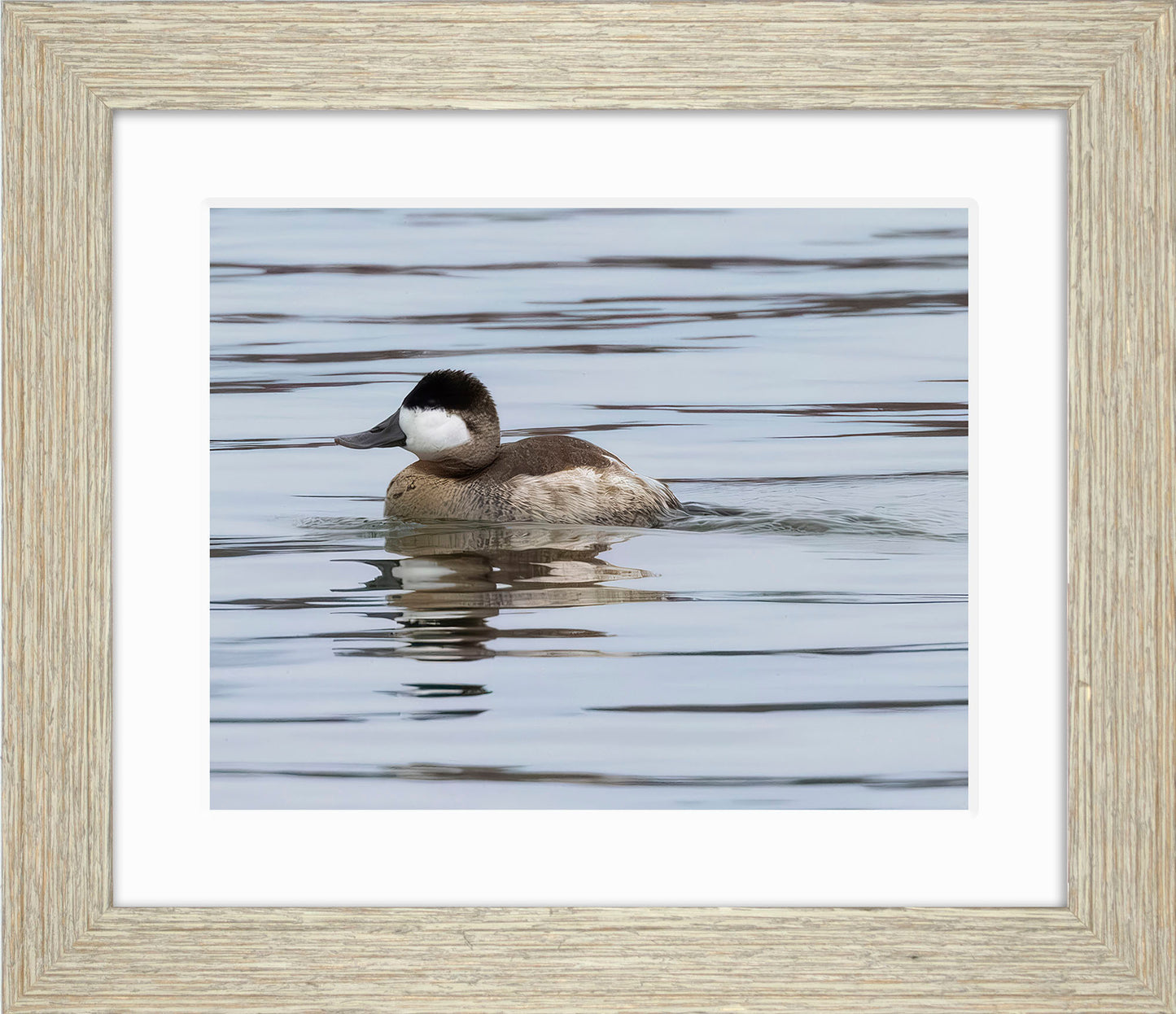 Solo Ruddy Drake #1