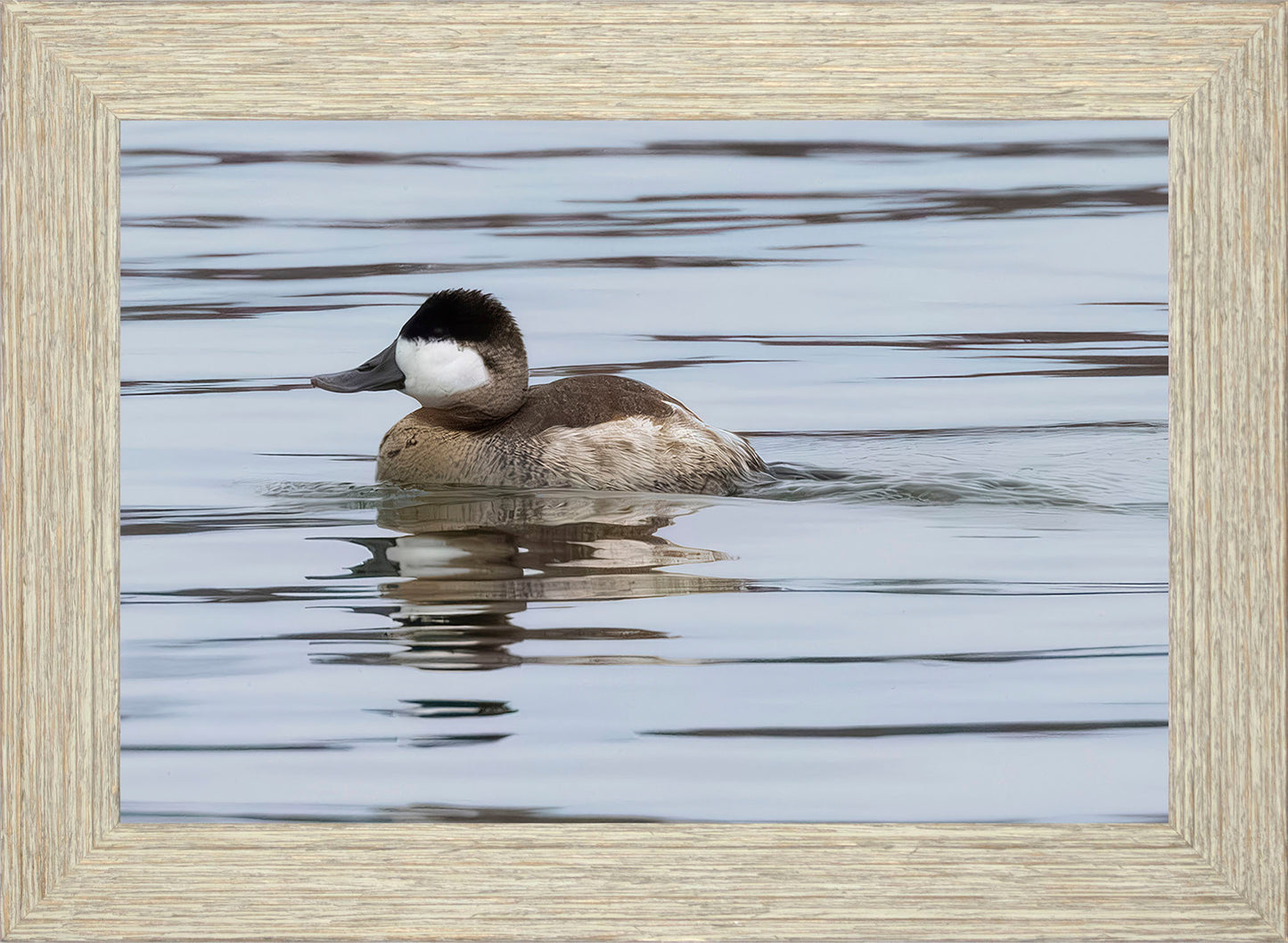 Solo Ruddy Drake #1