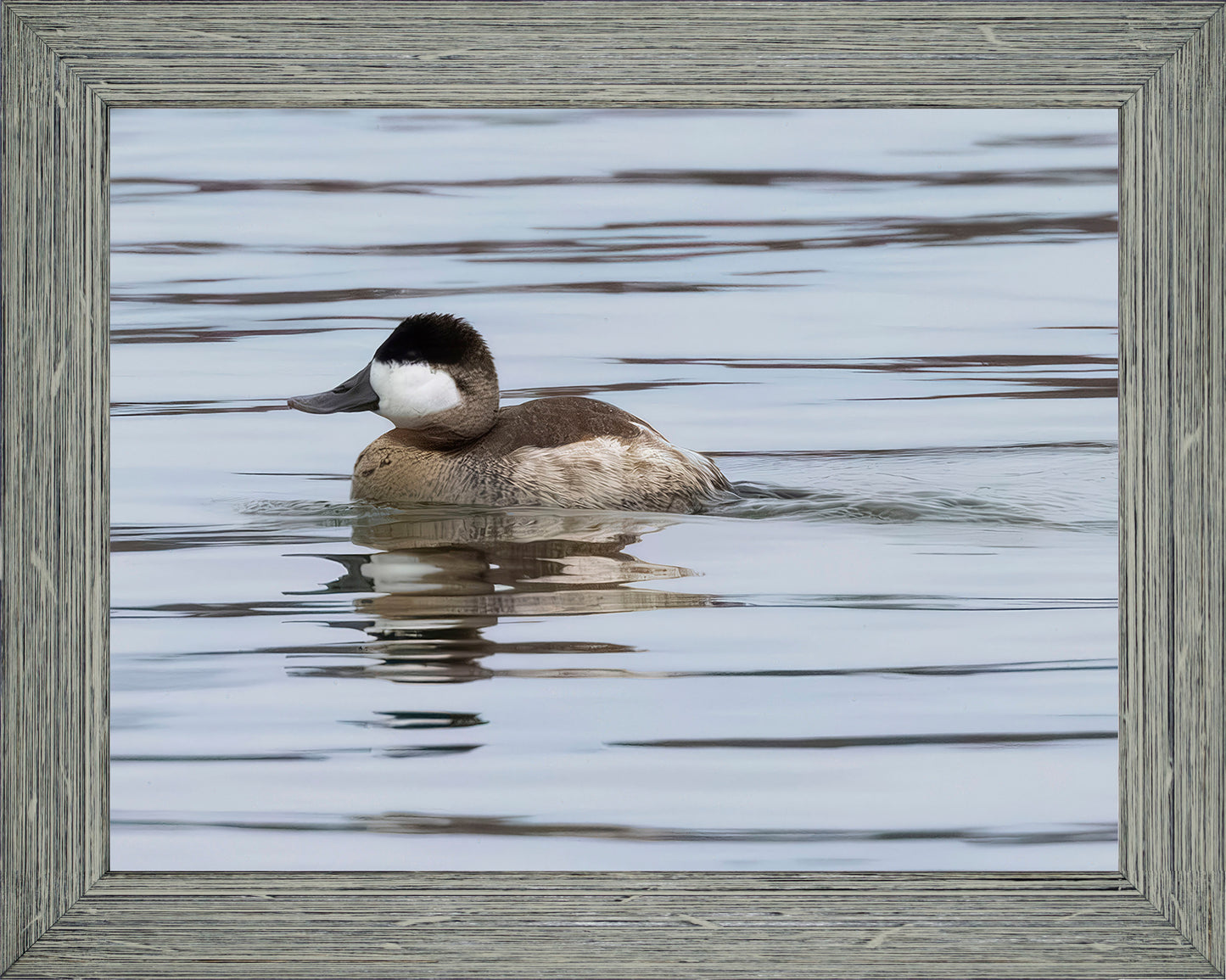 Solo Ruddy Drake #1