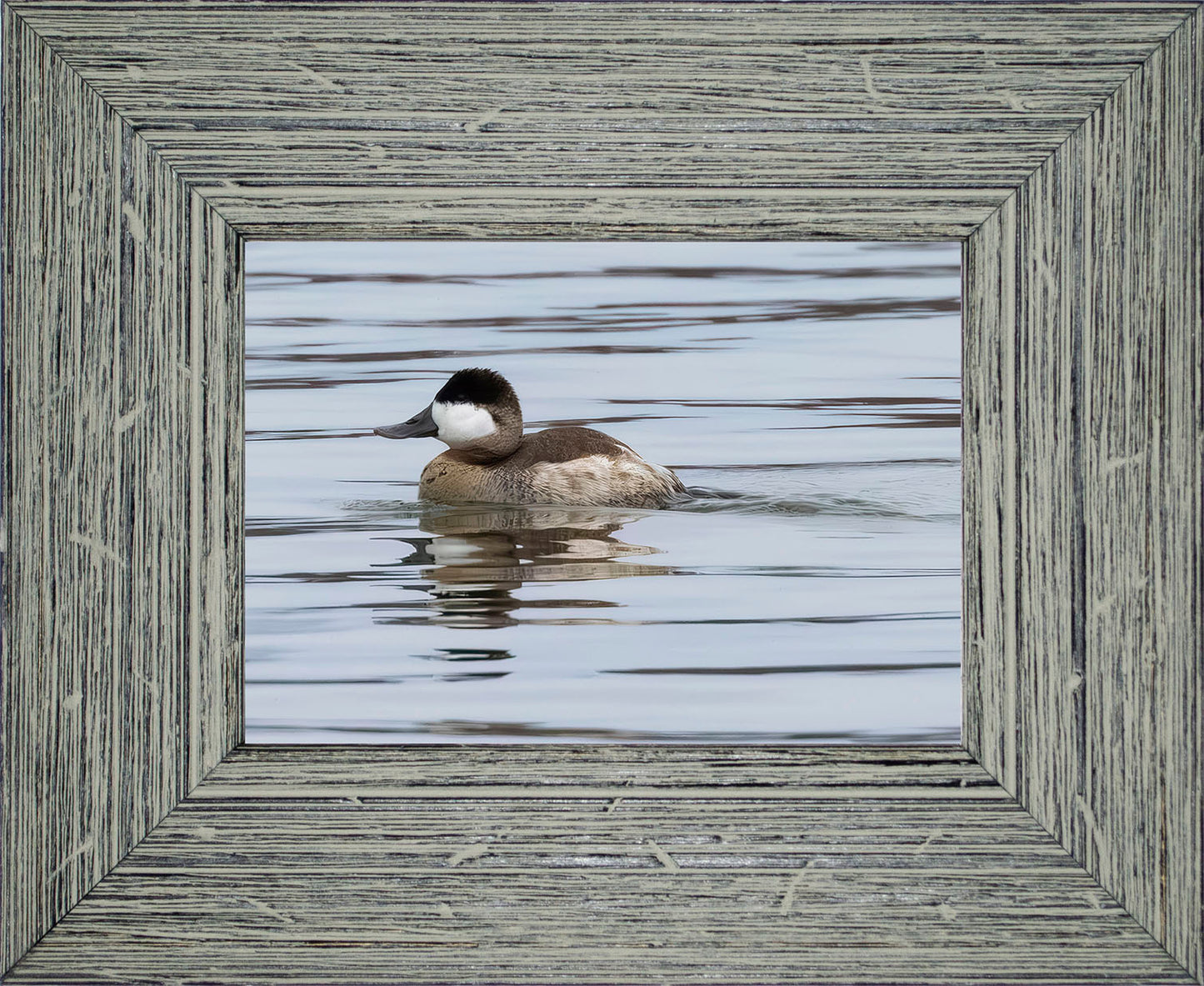 Solo Ruddy Drake #1