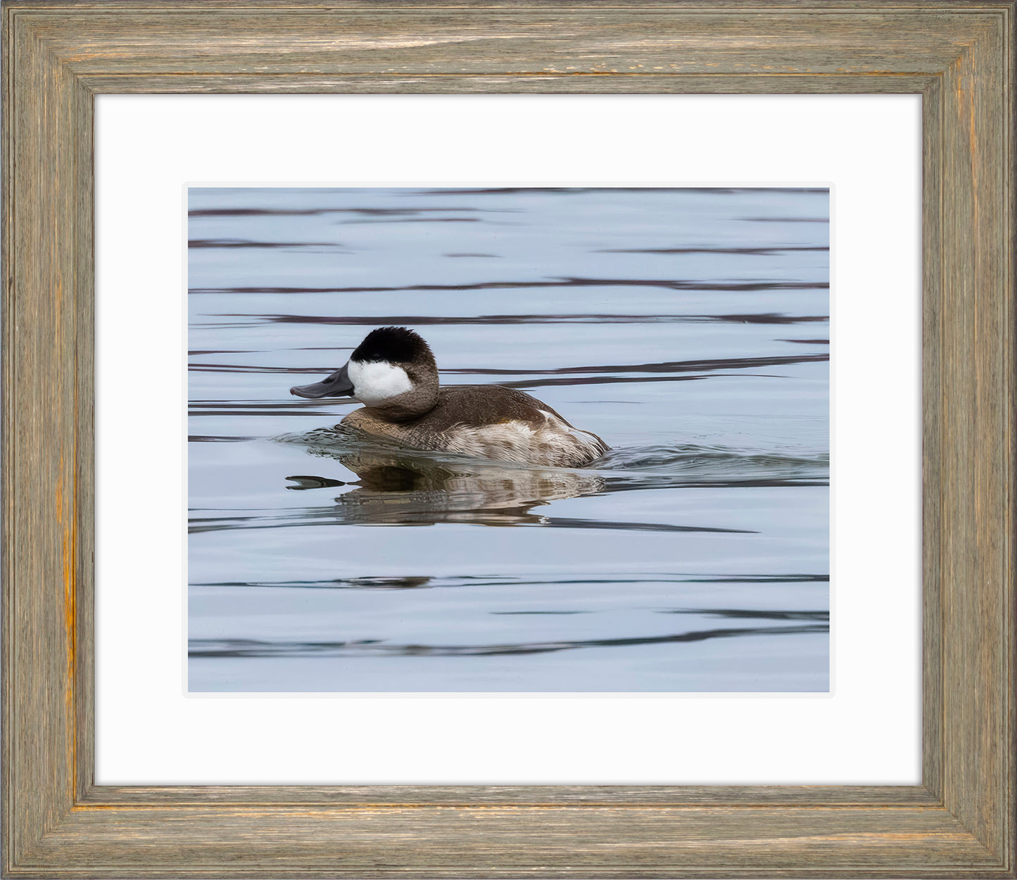 Solo Ruddy Drake #2