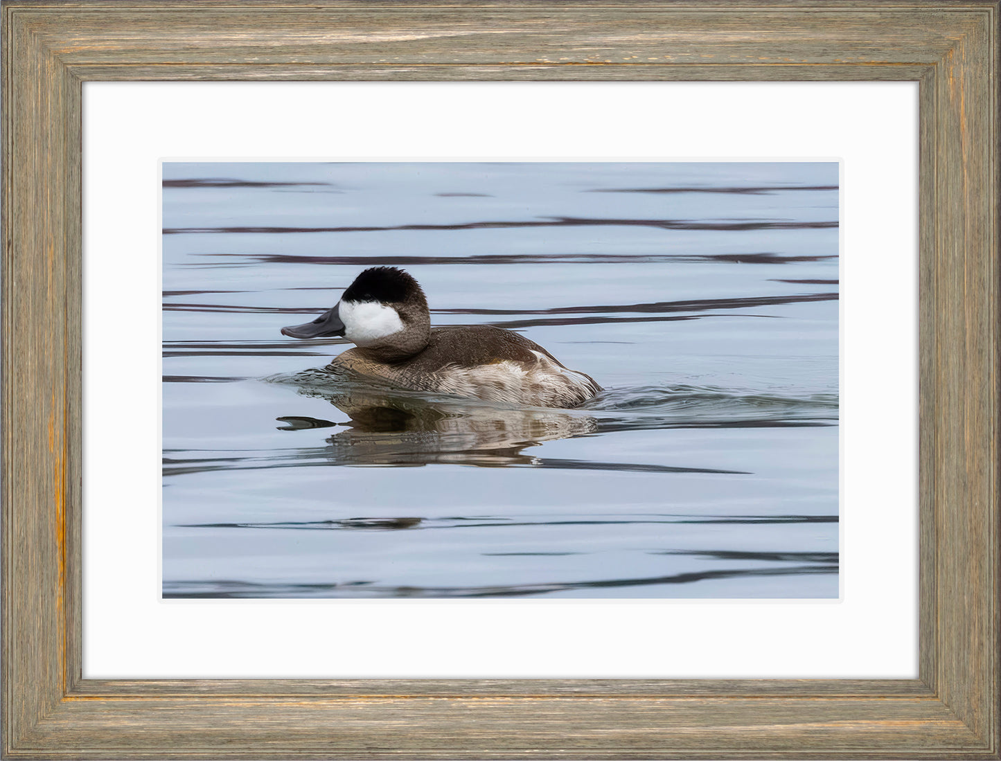 Solo Ruddy Drake #2