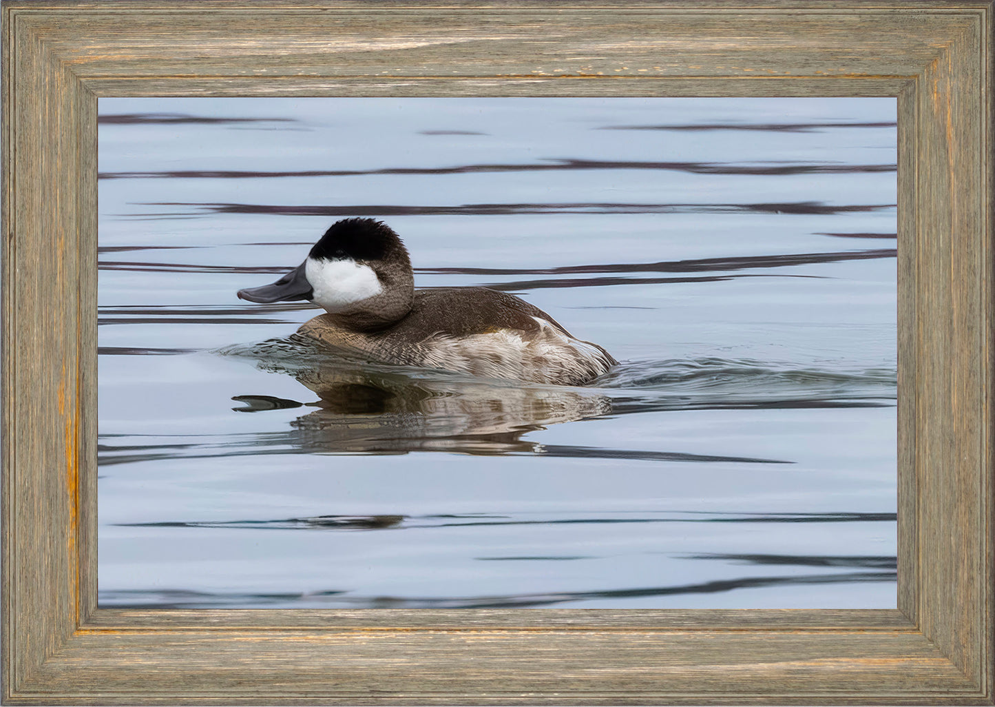 Solo Ruddy Drake #2