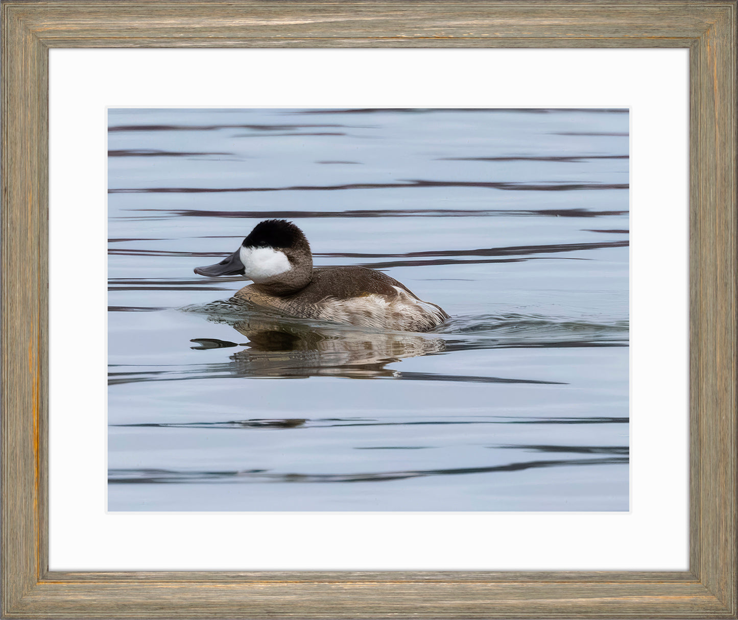 Solo Ruddy Drake #2