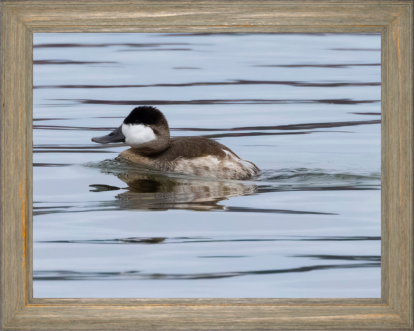 Solo Ruddy Drake #2