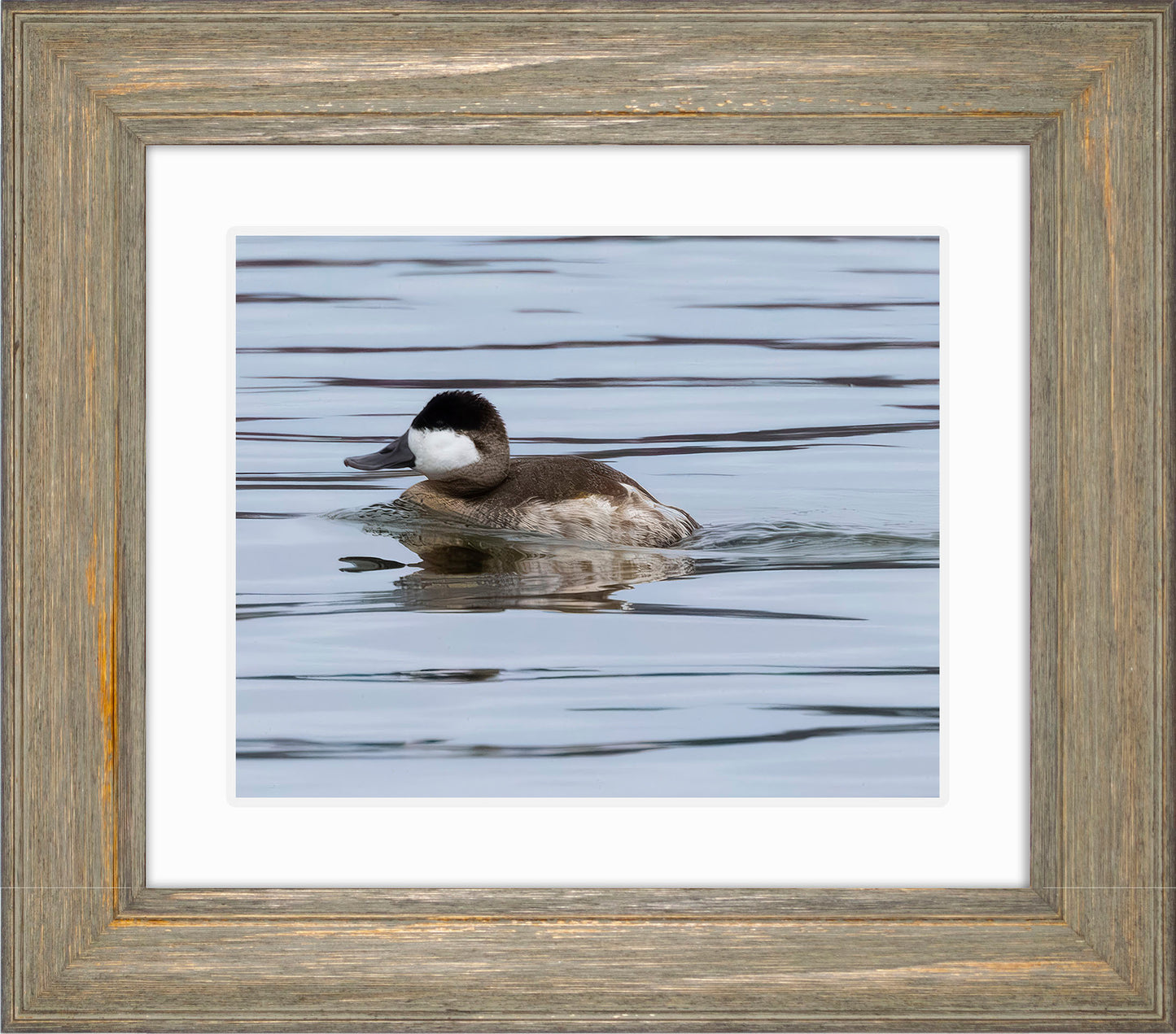 Solo Ruddy Drake #2