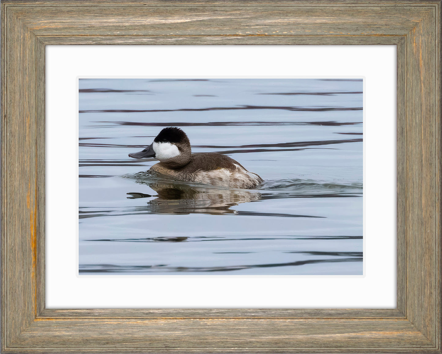 Solo Ruddy Drake #2