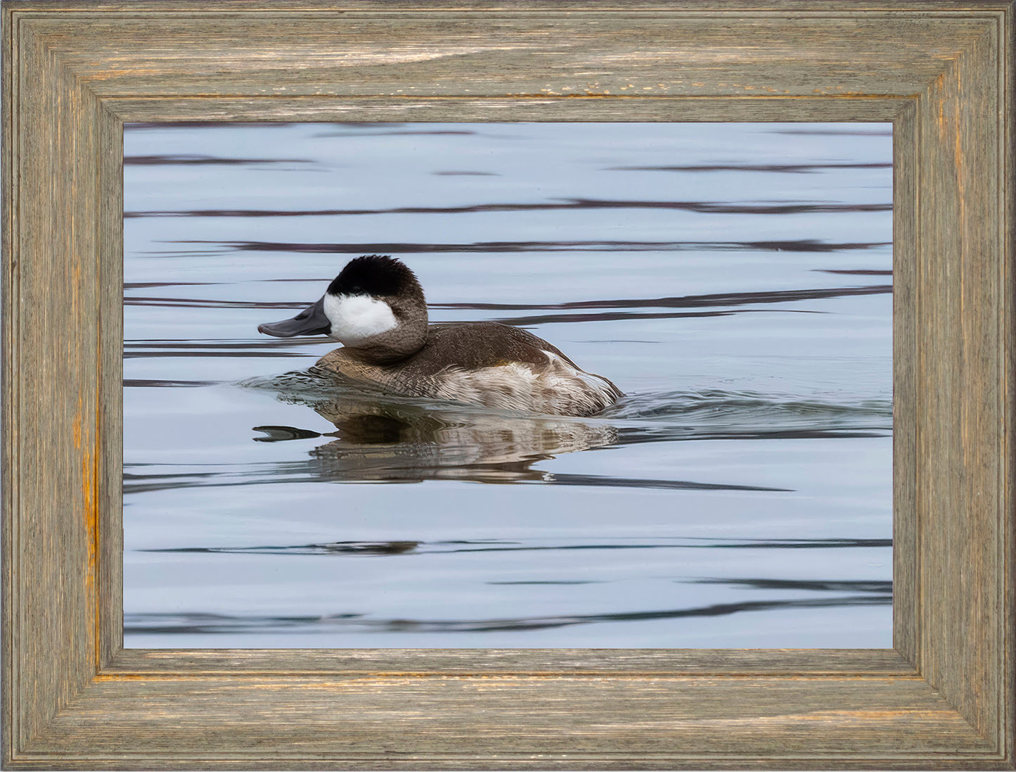 Solo Ruddy Drake #2