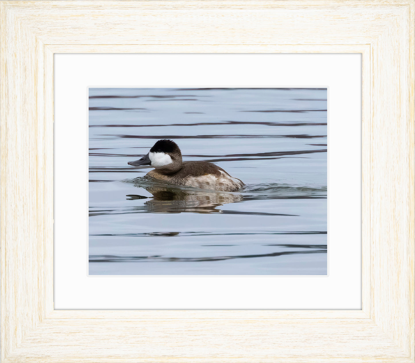 Solo Ruddy Drake #2