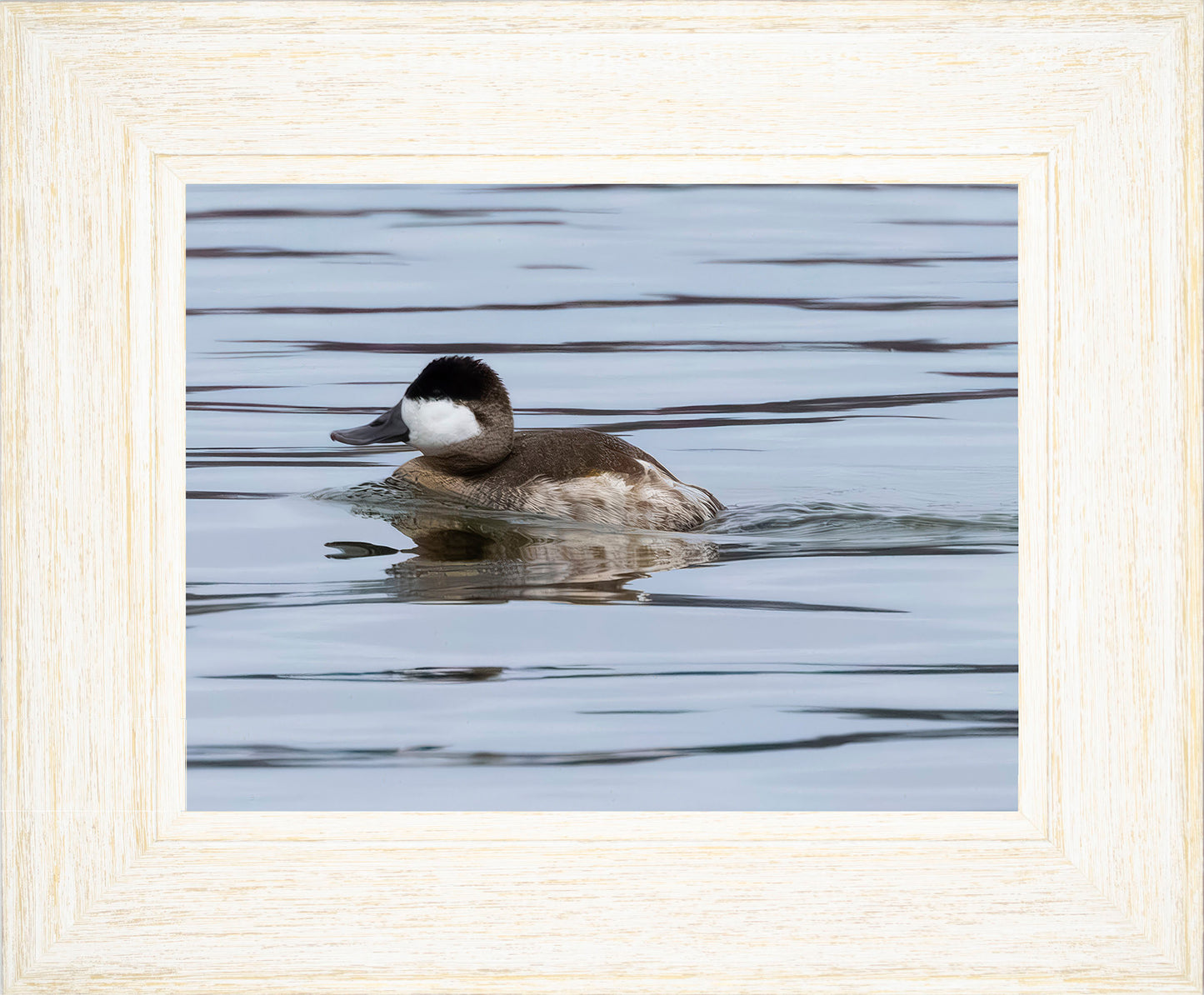 Solo Ruddy Drake #2