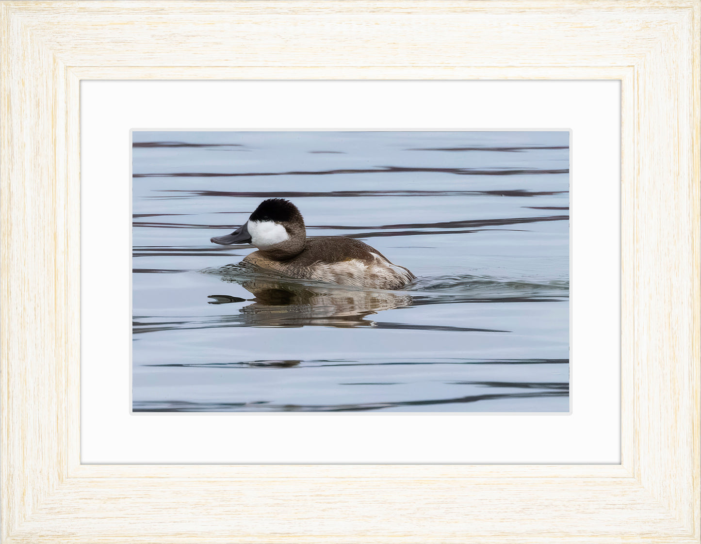 Solo Ruddy Drake #2