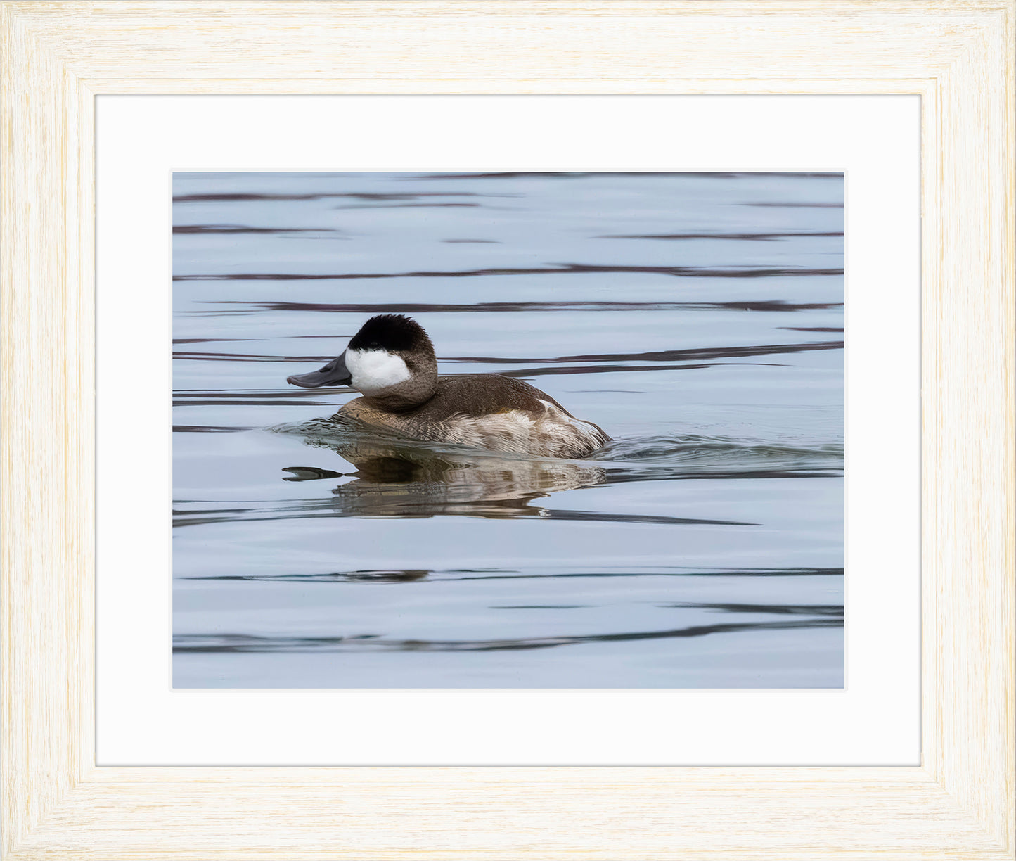 Solo Ruddy Drake #2
