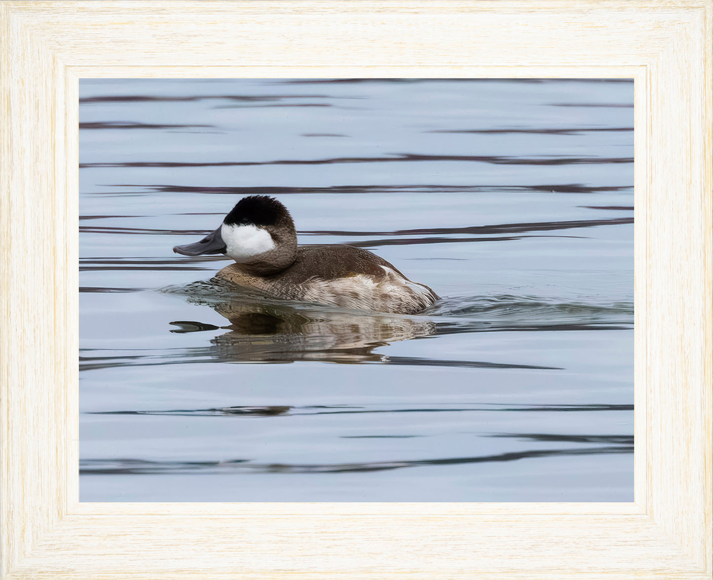 Solo Ruddy Drake #2