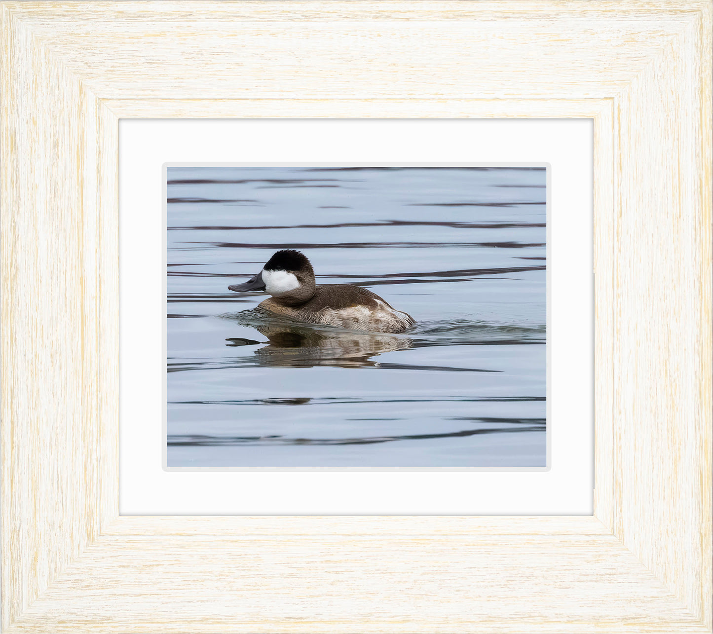 Solo Ruddy Drake #2