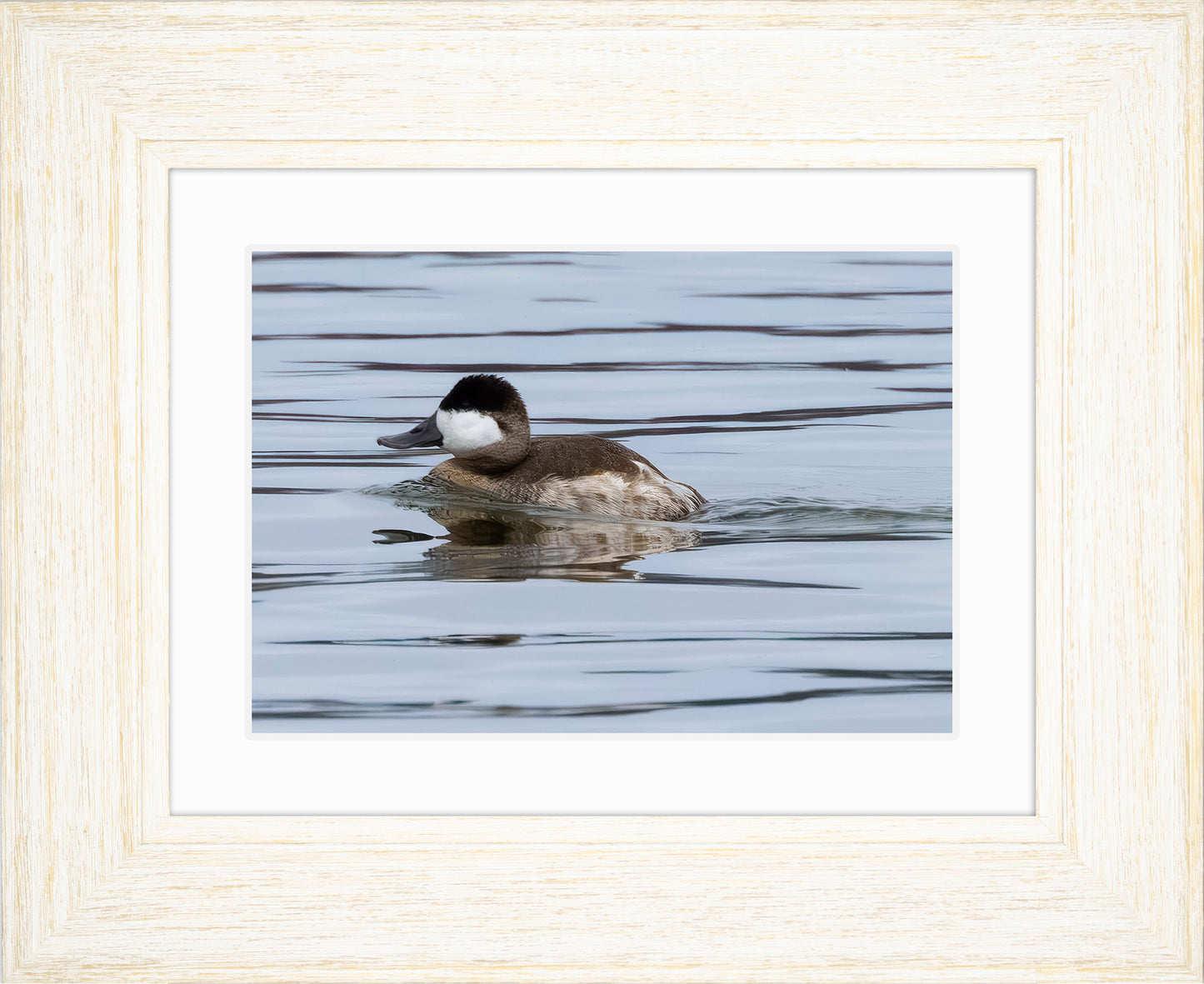 Solo Ruddy Drake #2