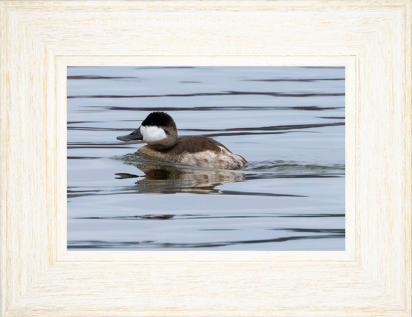 Solo Ruddy Drake #2