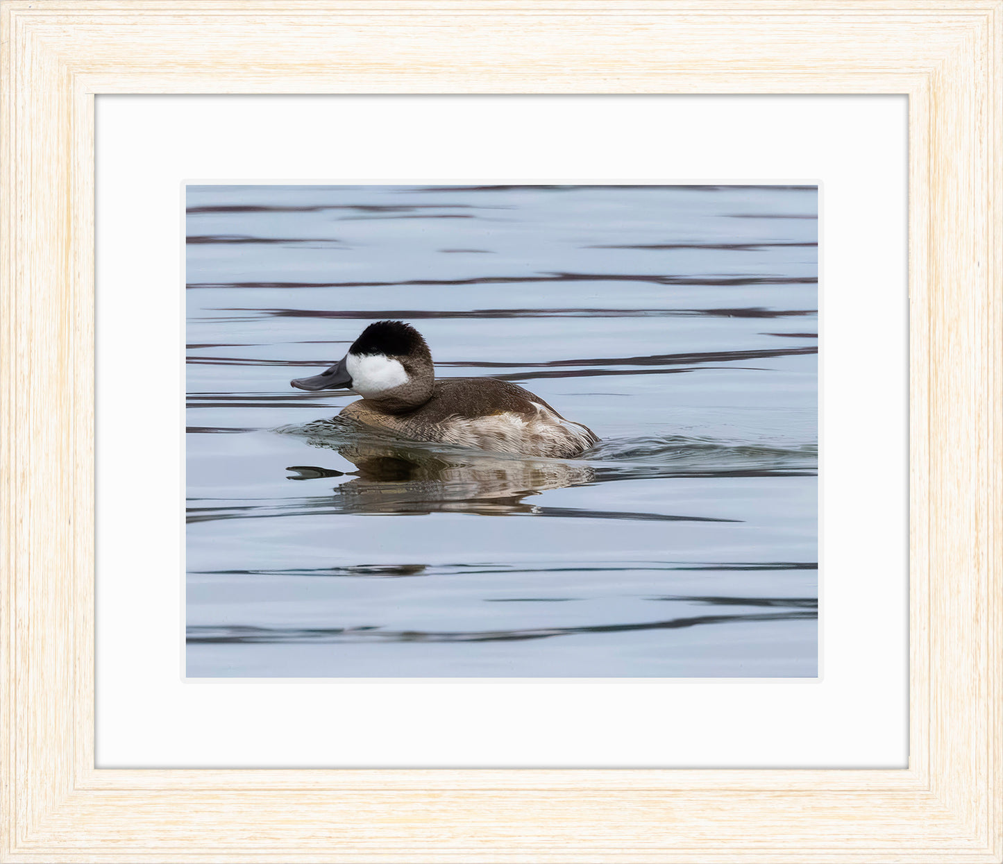 Solo Ruddy Drake #2