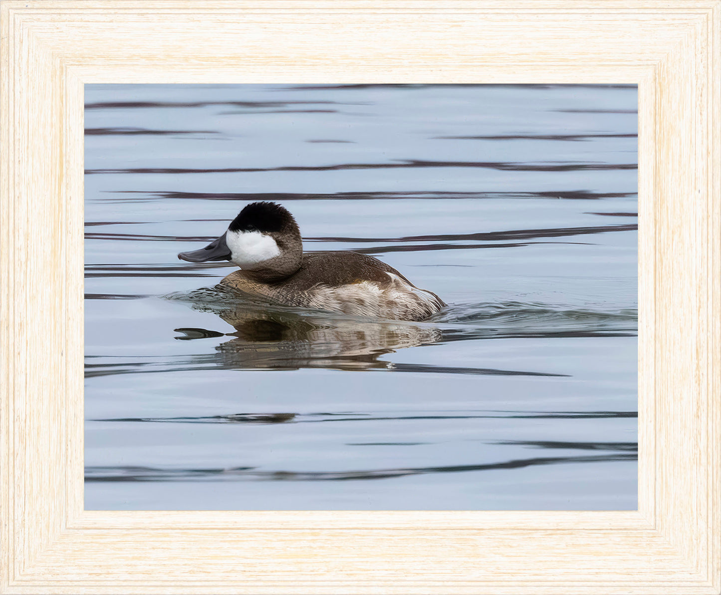 Solo Ruddy Drake #2