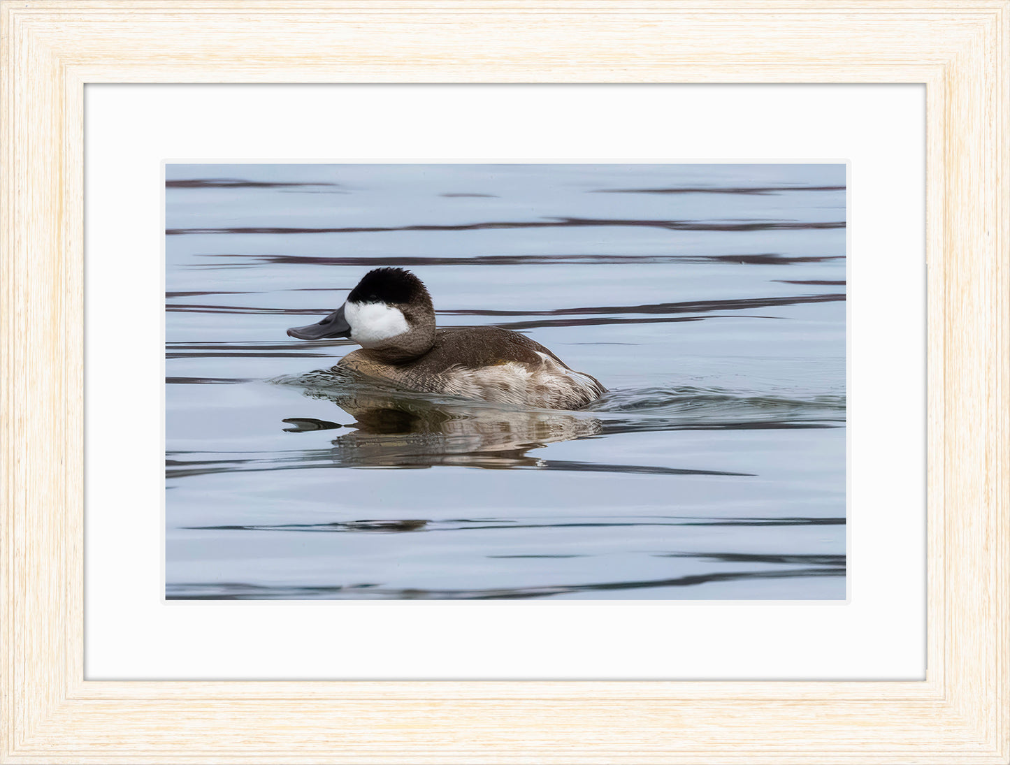 Solo Ruddy Drake #2