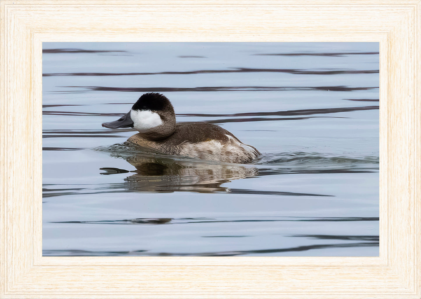Solo Ruddy Drake #2