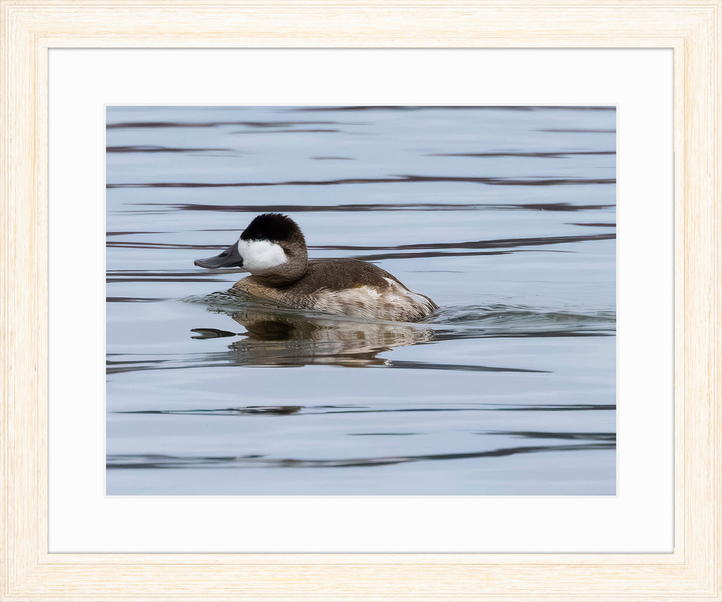 Solo Ruddy Drake #2