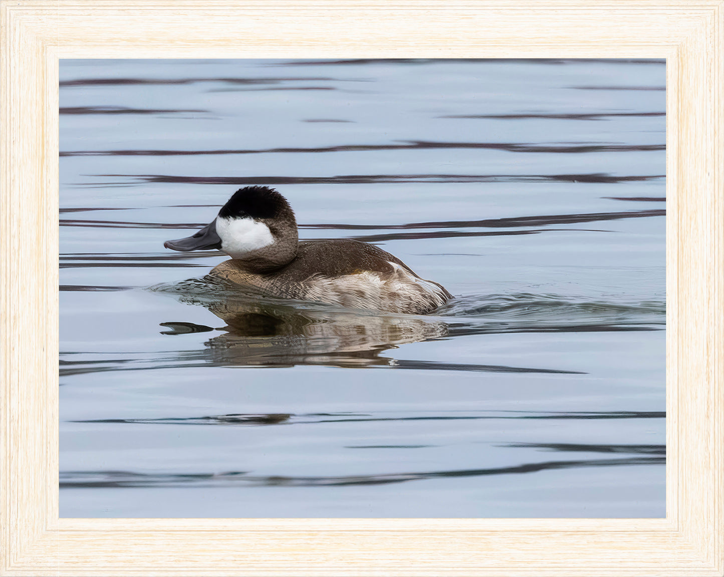 Solo Ruddy Drake #2