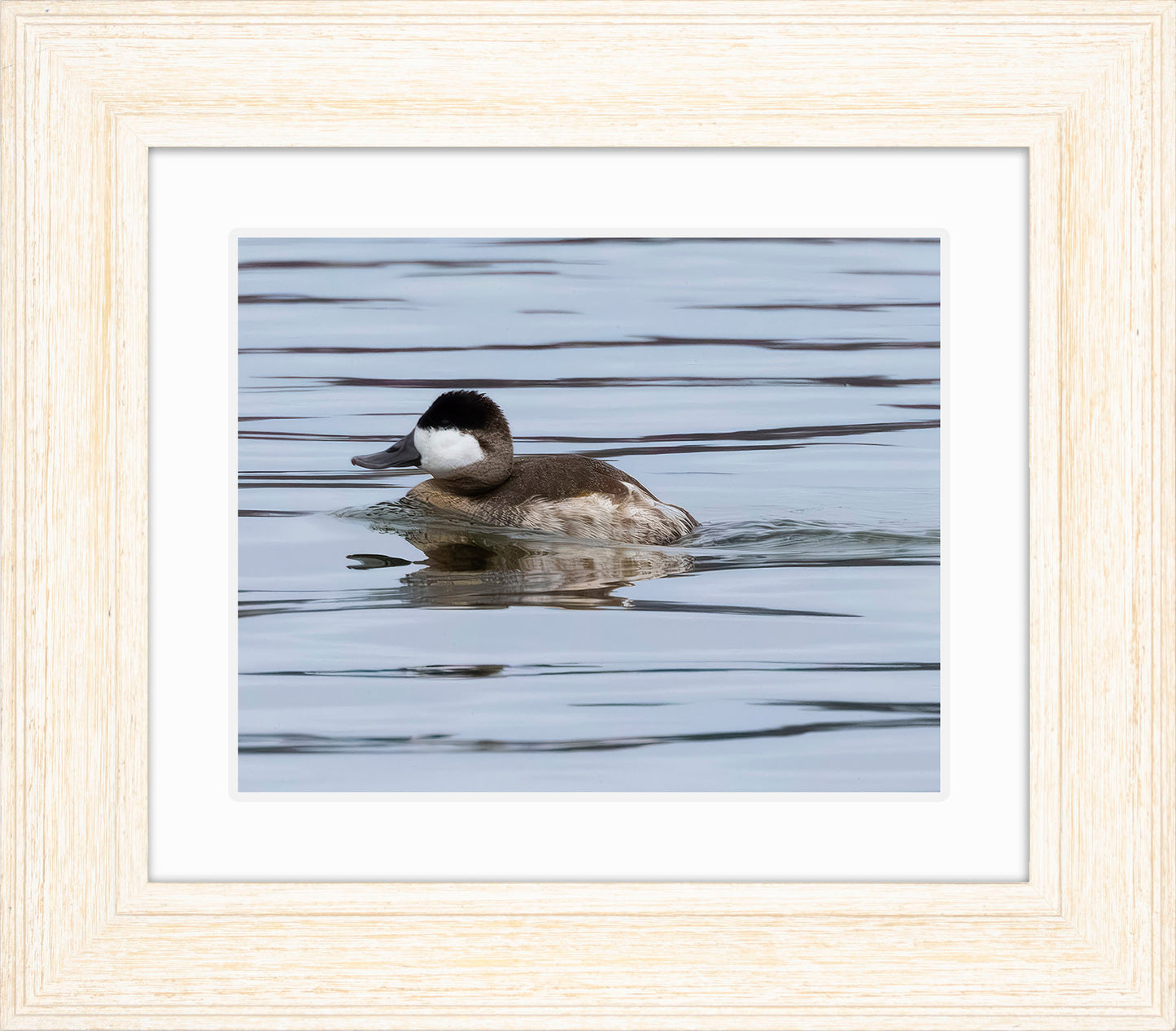 Solo Ruddy Drake #2