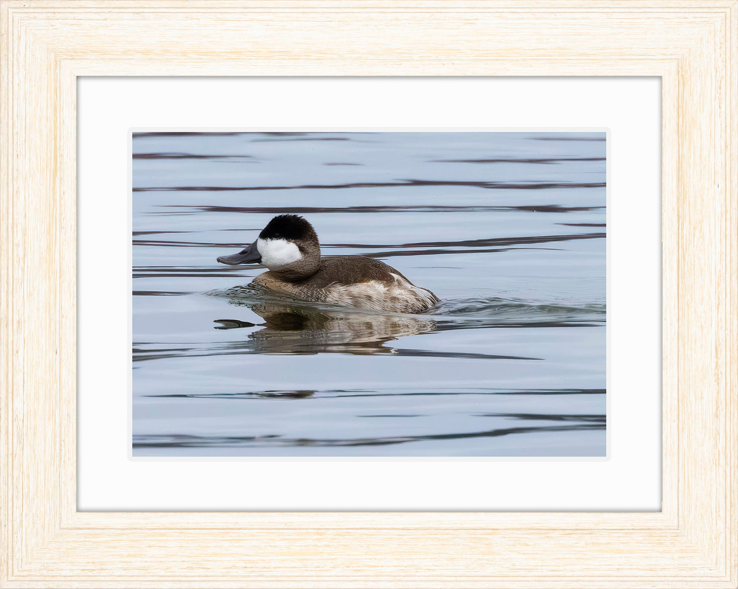 Solo Ruddy Drake #2