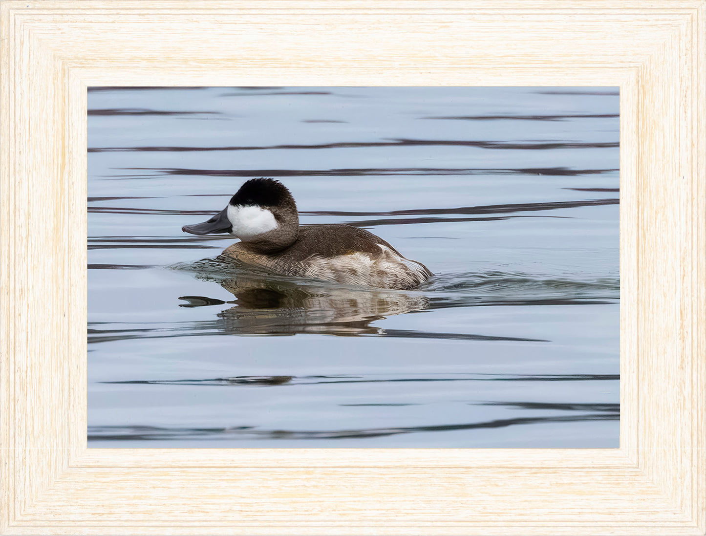 Solo Ruddy Drake #2