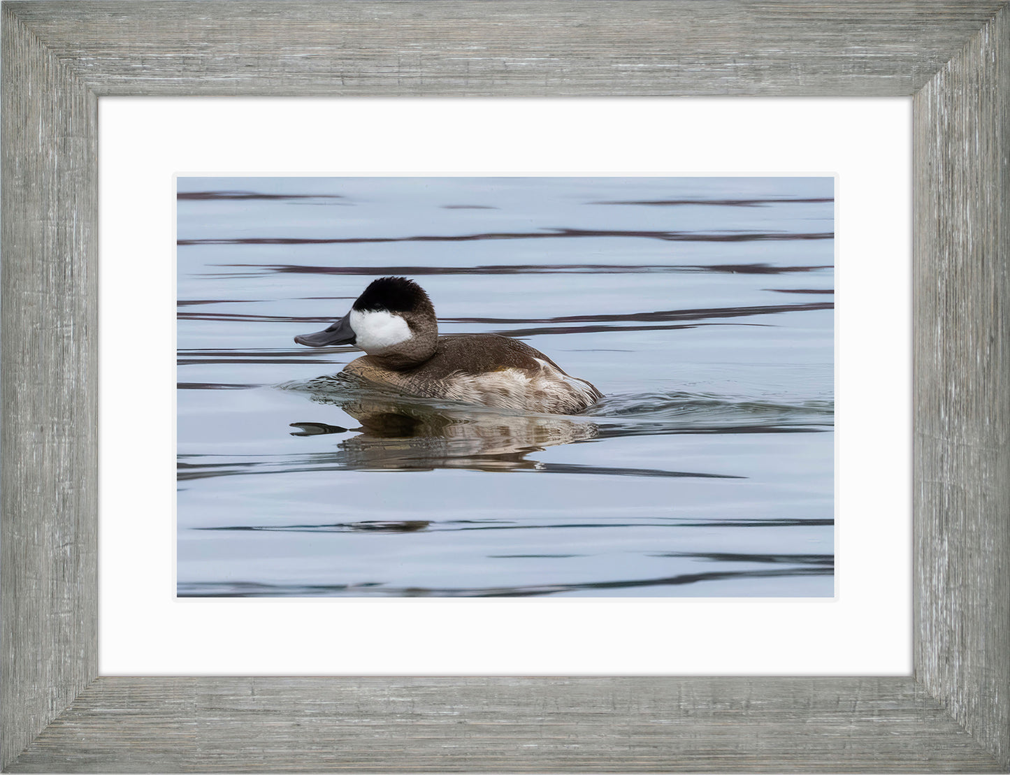 Solo Ruddy Drake #2