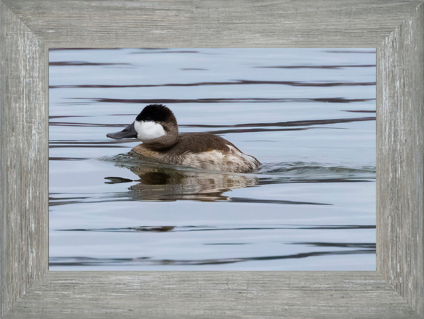 Solo Ruddy Drake #2