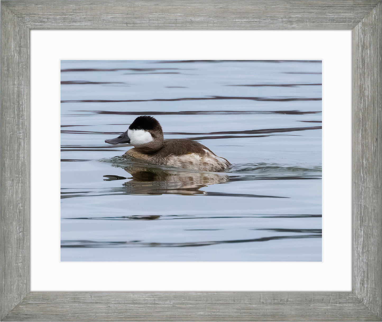 Solo Ruddy Drake #2
