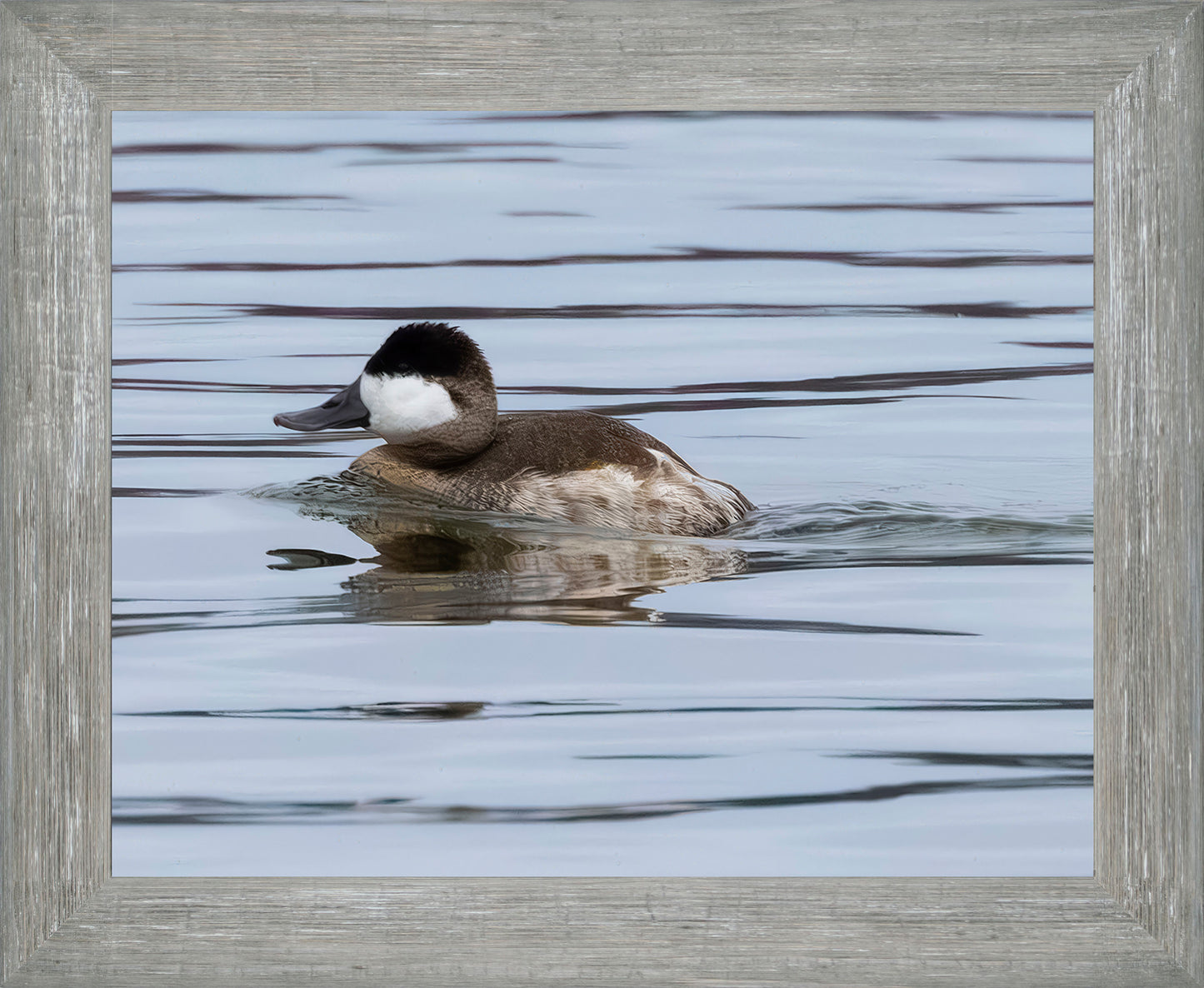 Solo Ruddy Drake #2