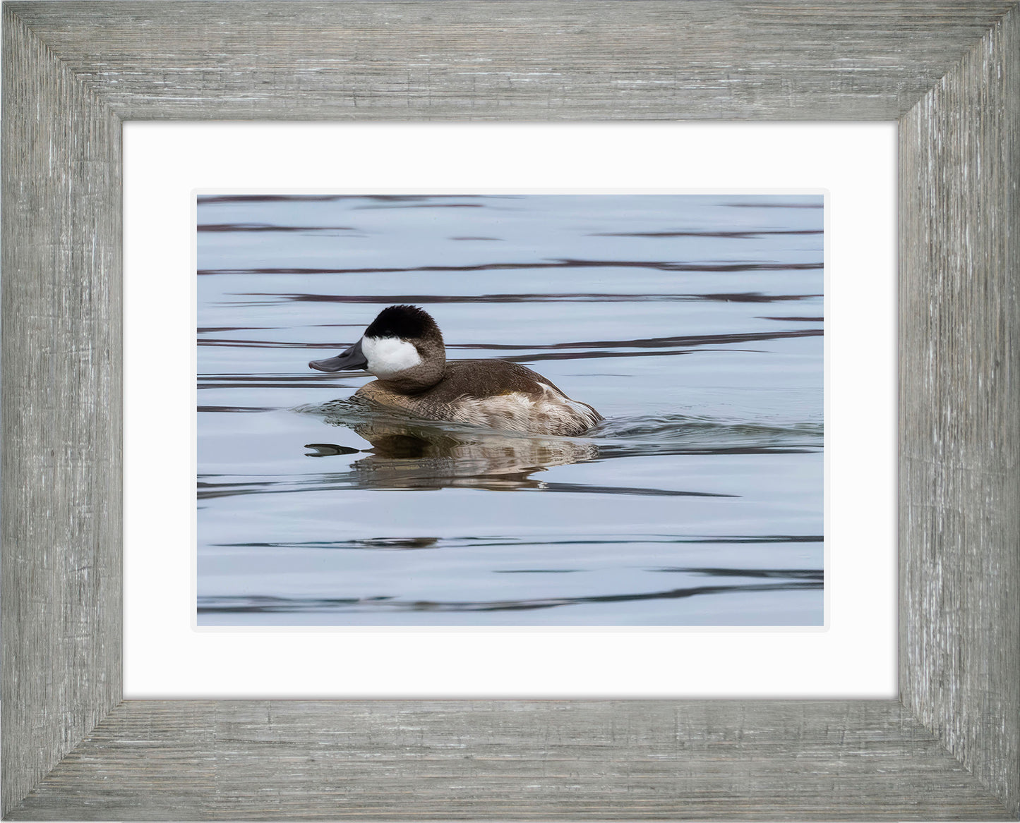 Solo Ruddy Drake #2