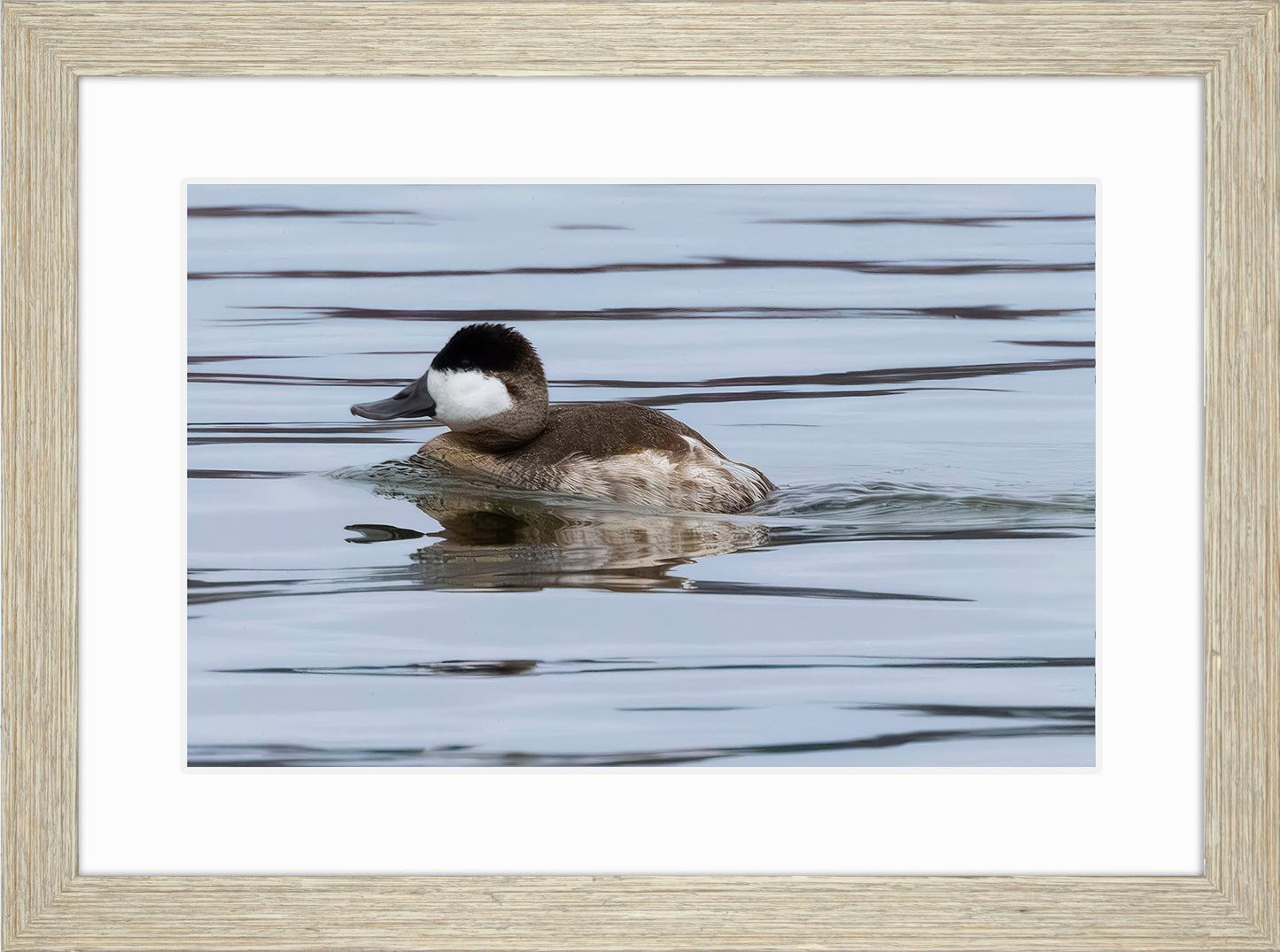 Solo Ruddy Drake #2