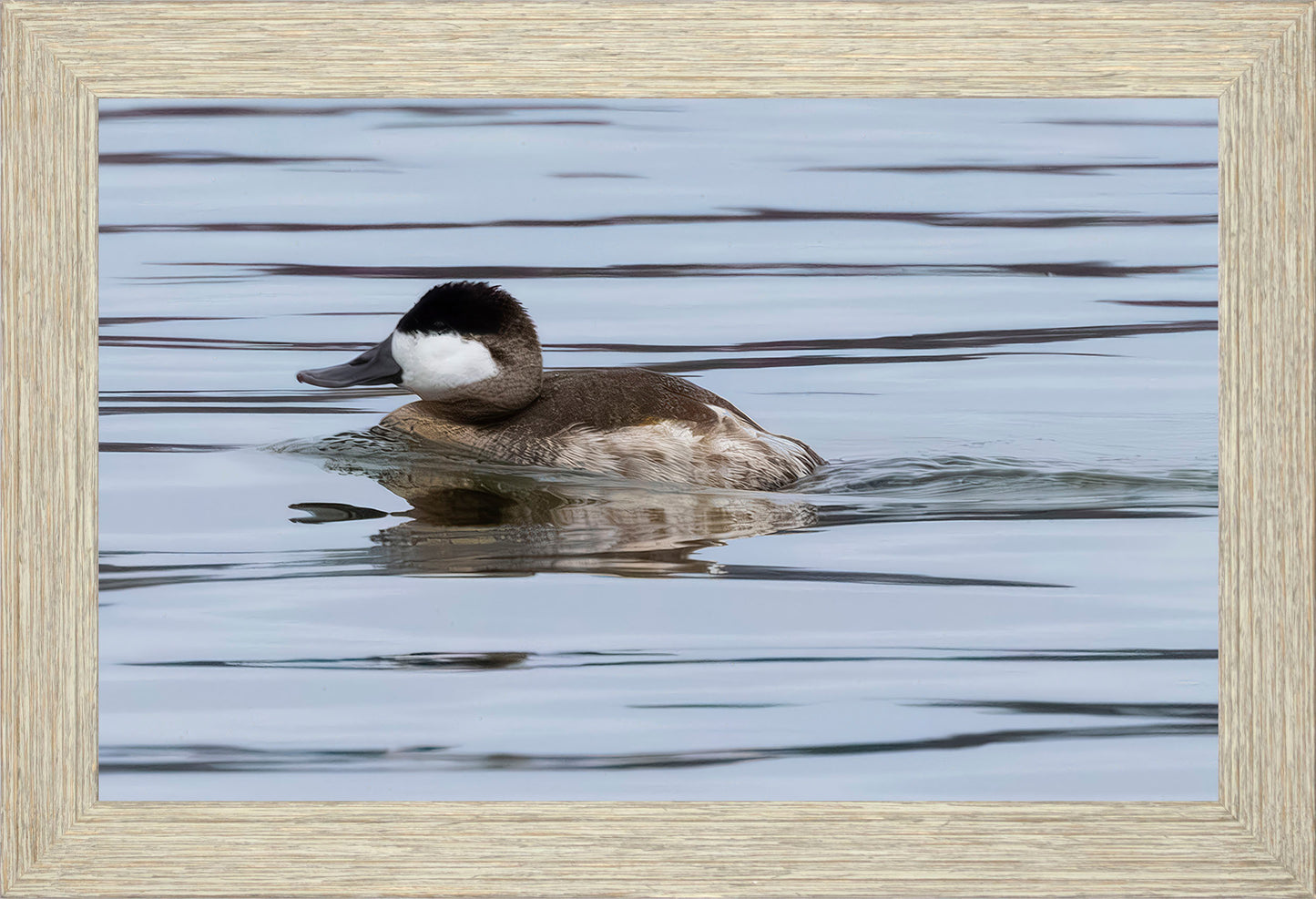 Solo Ruddy Drake #2