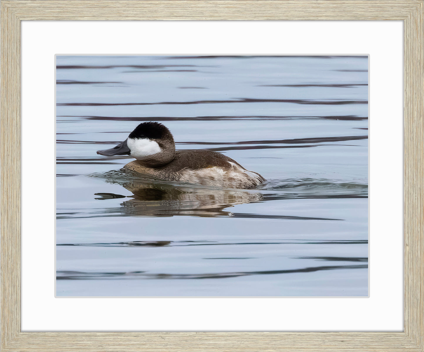Solo Ruddy Drake #2