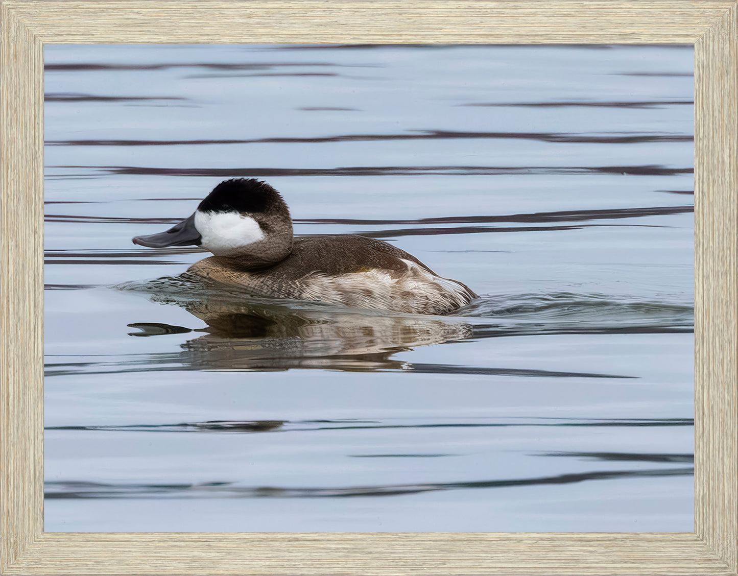 Solo Ruddy Drake #2