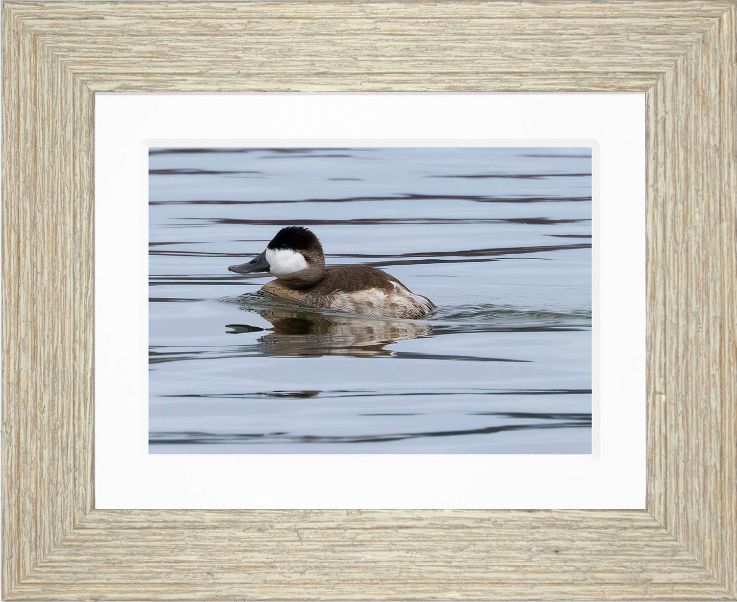 Solo Ruddy Drake #2