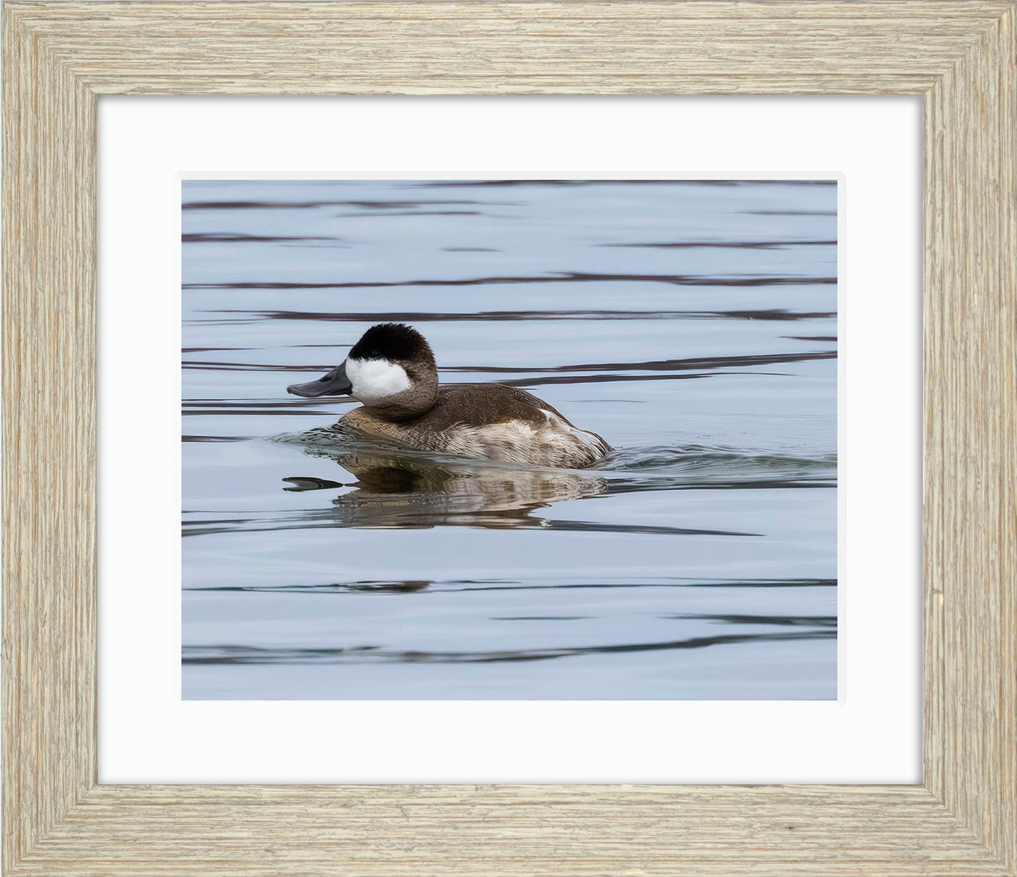 Solo Ruddy Drake #2