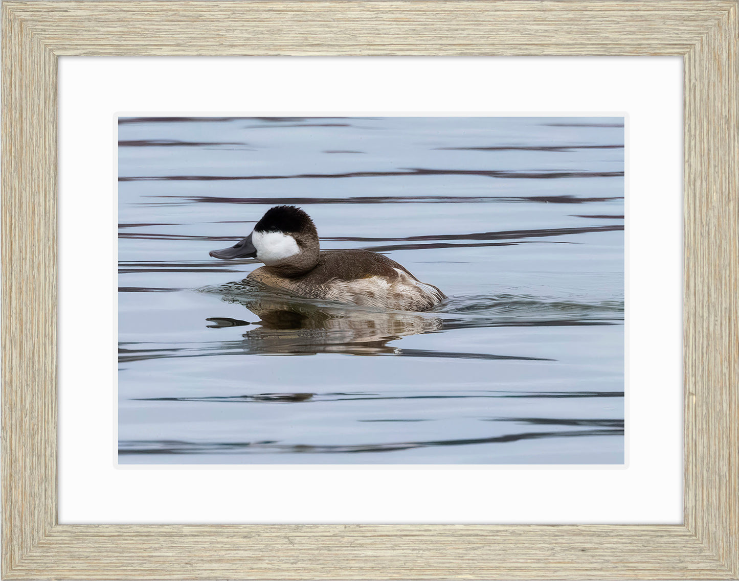 Solo Ruddy Drake #2