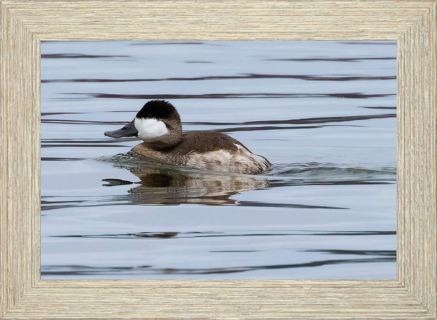 Solo Ruddy Drake #2