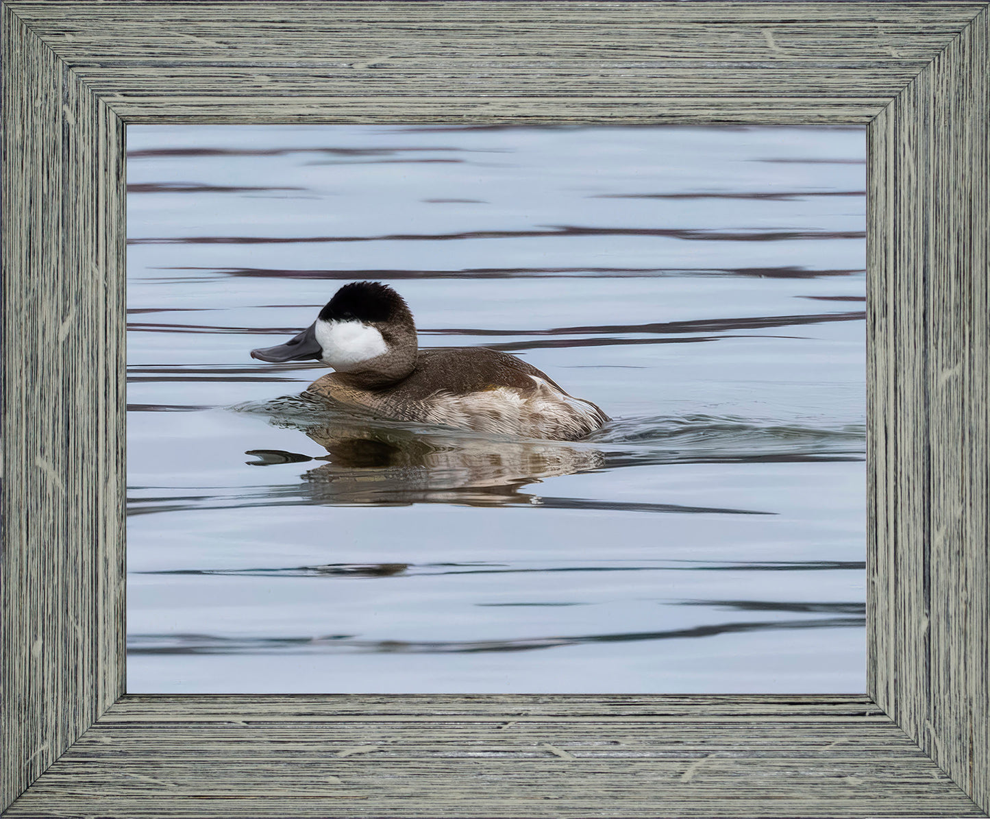 Solo Ruddy Drake #2
