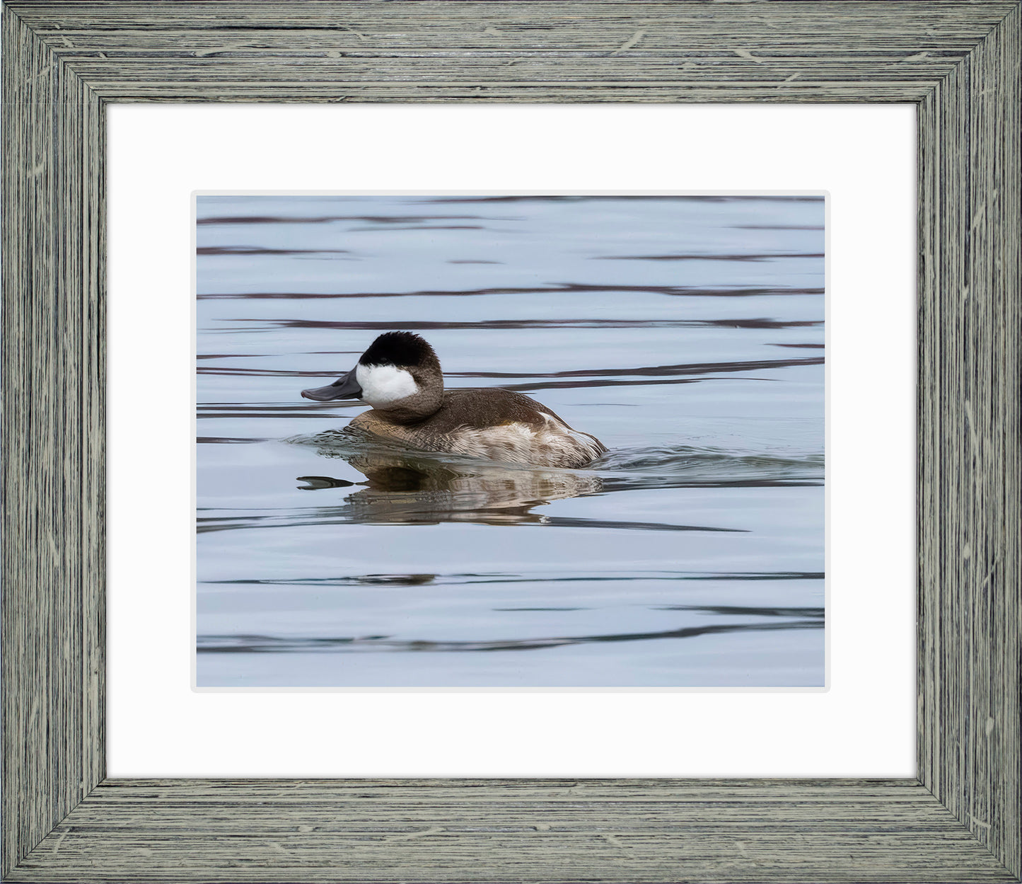 Solo Ruddy Drake #2
