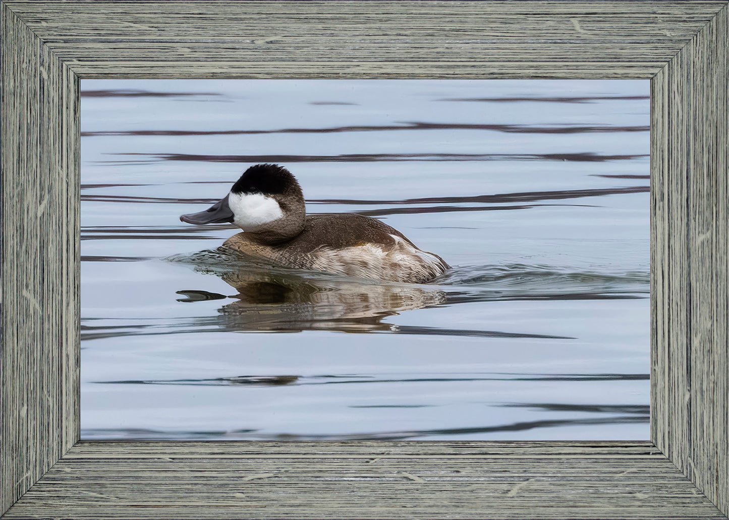 Solo Ruddy Drake #2