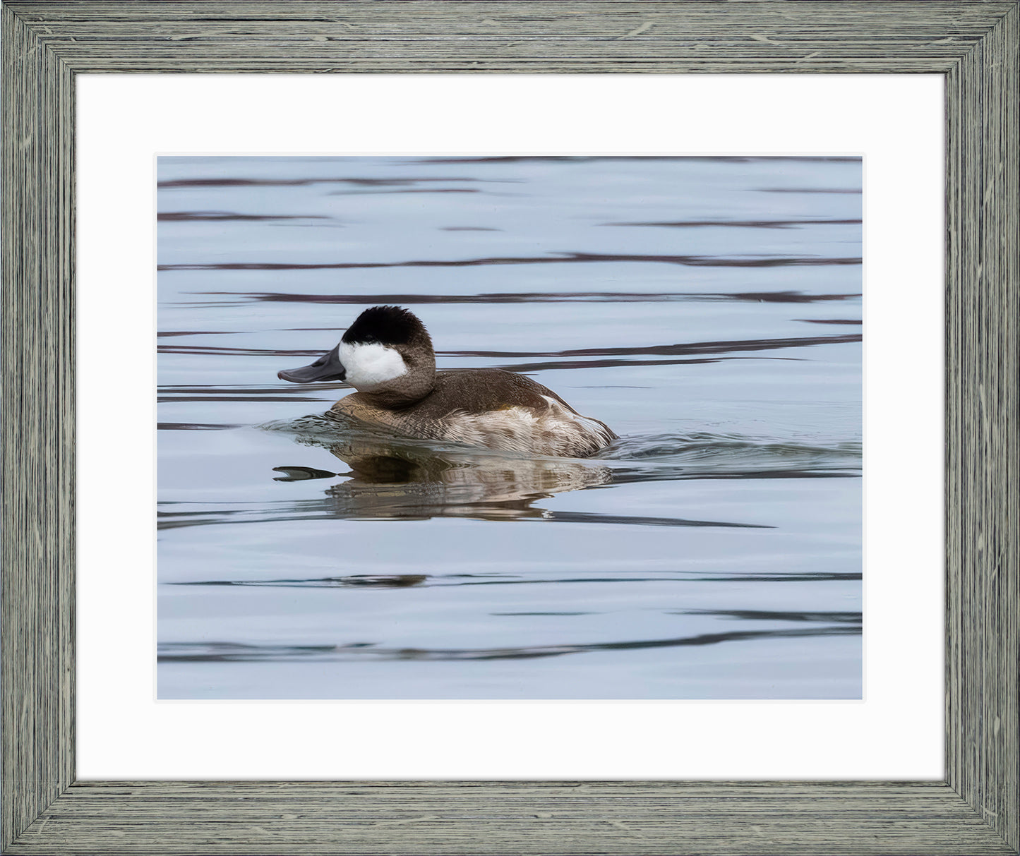Solo Ruddy Drake #2
