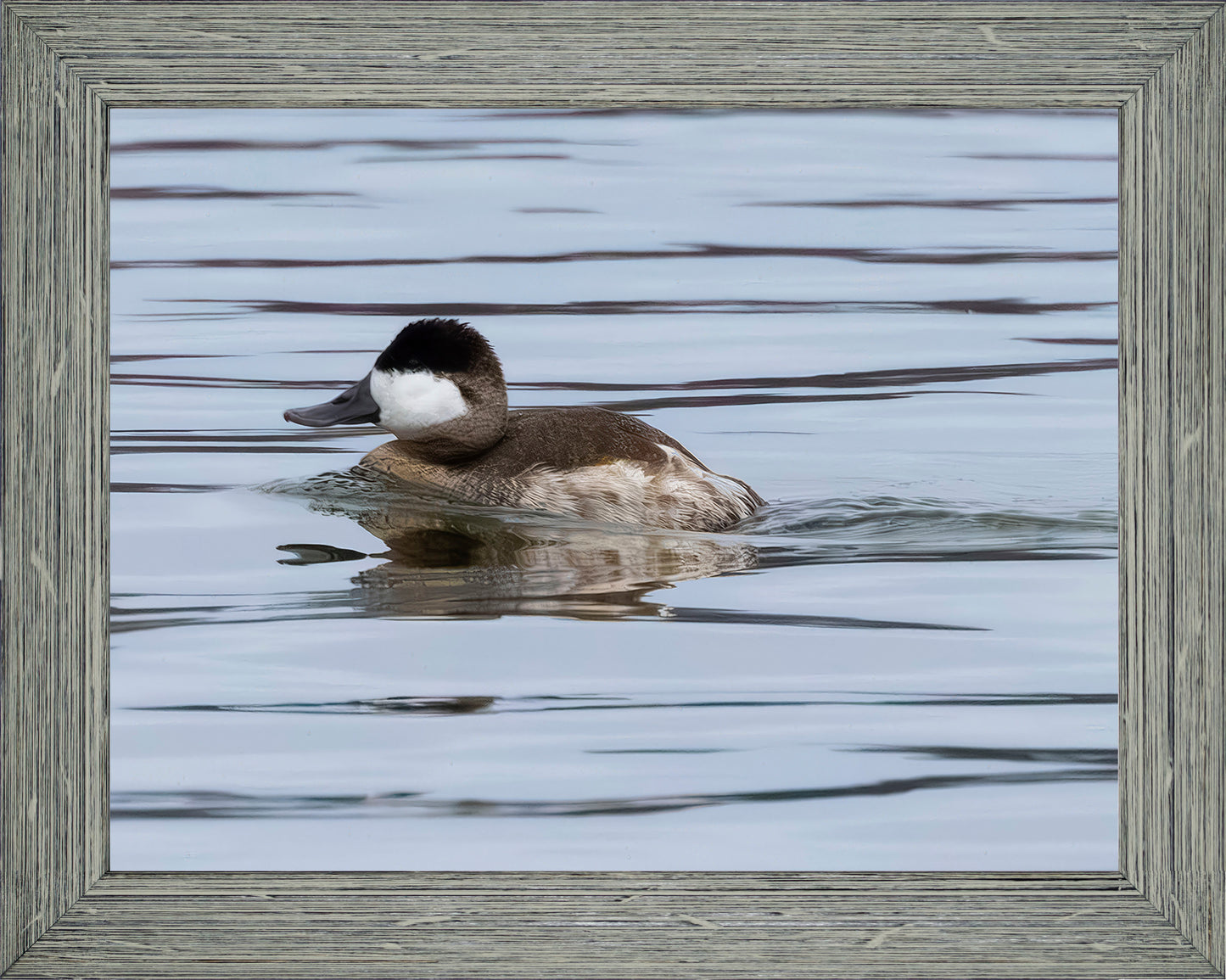 Solo Ruddy Drake #2