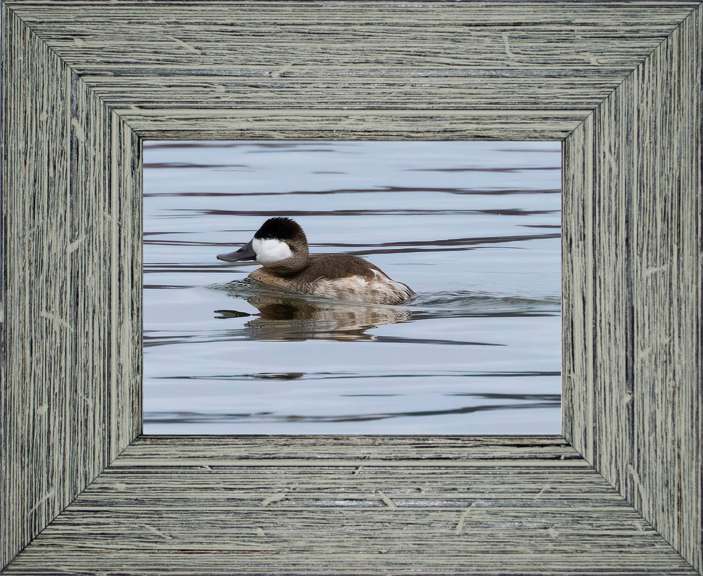Solo Ruddy Drake #2