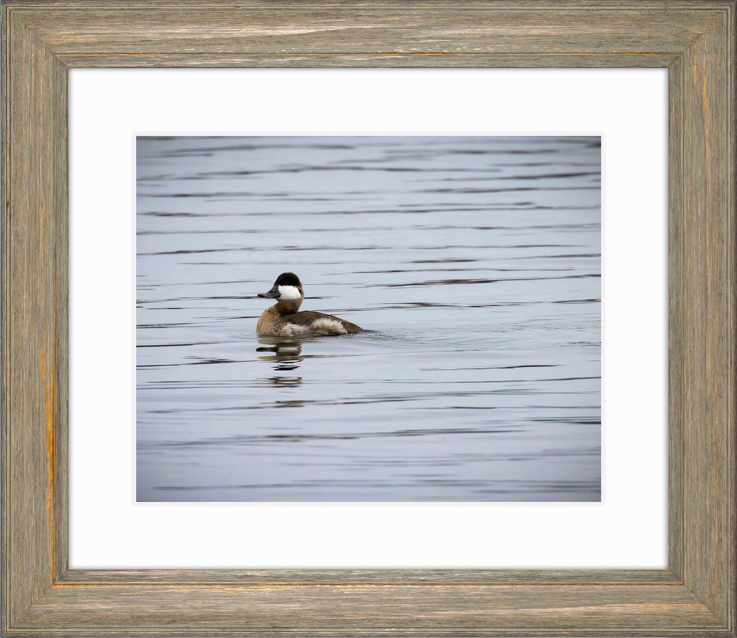 Solo Ruddy Drake #3